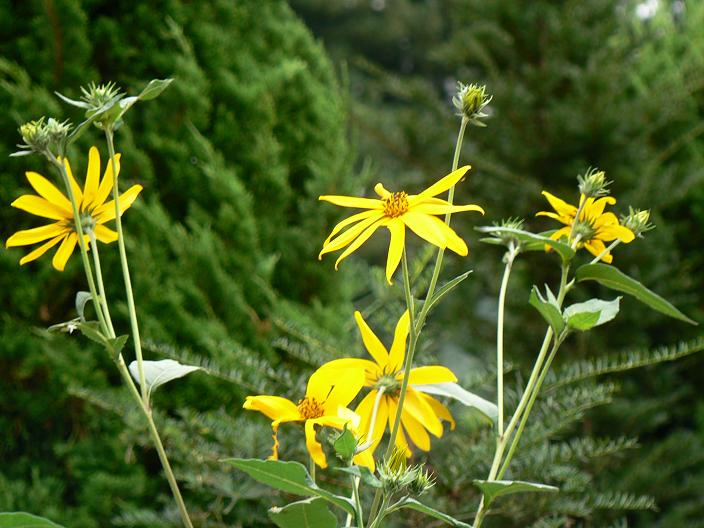 c0086014_21442136.jpg
