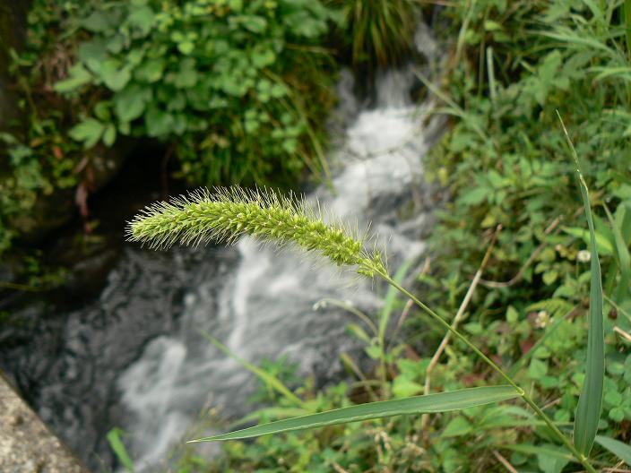 c0086014_2146333.jpg