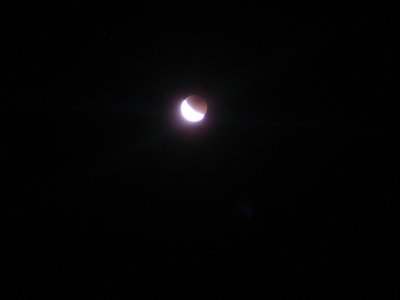 e0003819_20491128.jpg