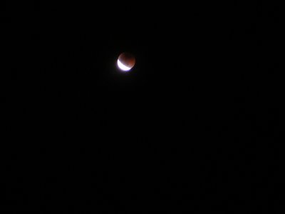 e0003819_2049175.jpg