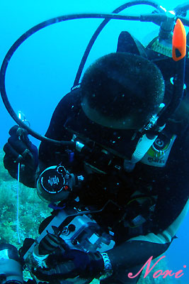 b0044726_874166.jpg