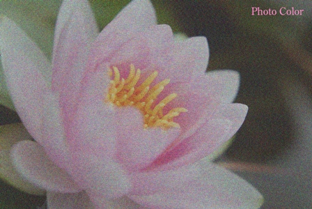 f0078127_89333.jpg