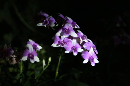 d0036630_22452021.jpg