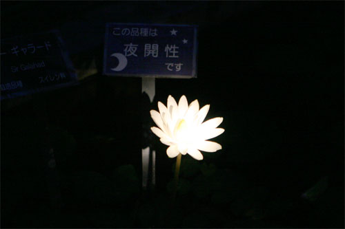 d0036630_22453171.jpg