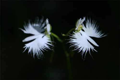 d0036630_2245494.jpg