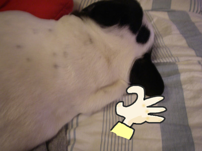 e0008833_1853251.jpg