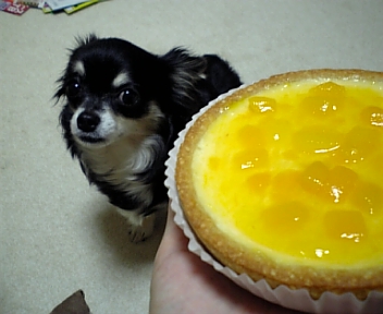 c0121141_1694546.jpg