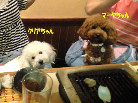 a0042044_2325128.jpg