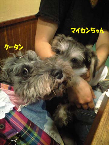 a0042044_2325264.jpg