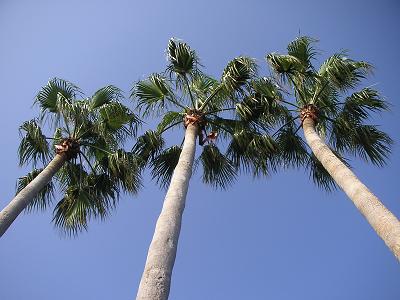 b0001044_15413212.jpg