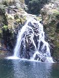 e0044657_12325424.jpg
