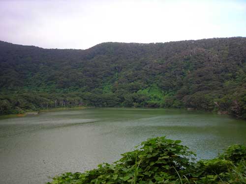 e0097770_6592843.jpg