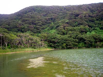 e0097770_702875.jpg
