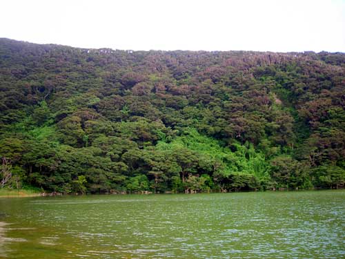 e0097770_704817.jpg