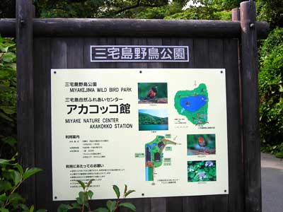 e0097770_792253.jpg