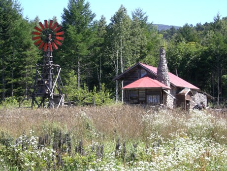 f0116278_20365072.jpg