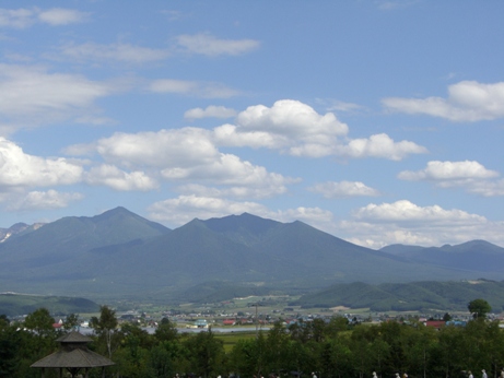 f0116278_20421092.jpg