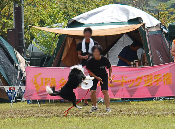 d0101385_8162787.jpg
