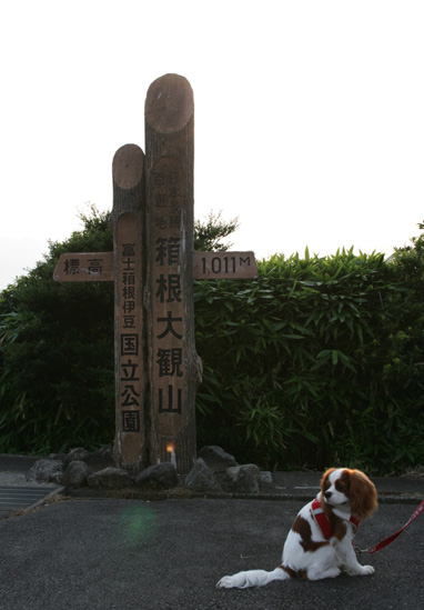 d0044986_03167.jpg