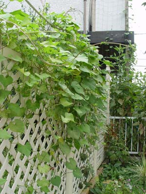 e0008586_23214167.jpg