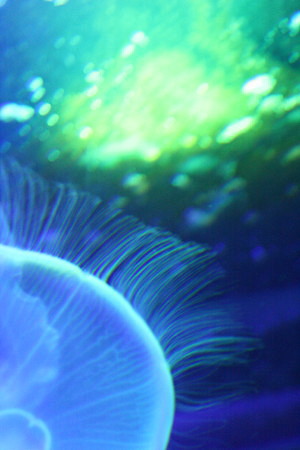 c0044199_2172156.jpg