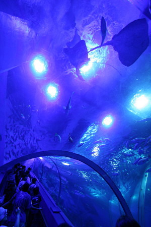 c0044199_217971.jpg