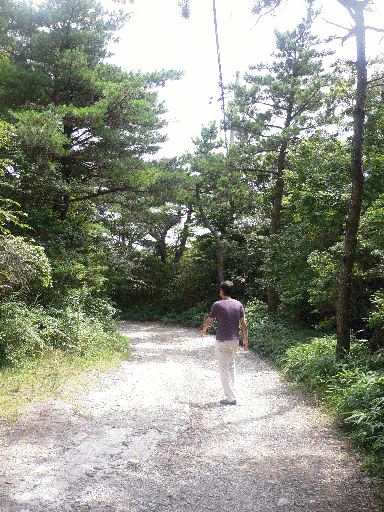 d0082899_23245191.gif