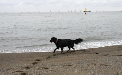 c0050400_12544081.jpg