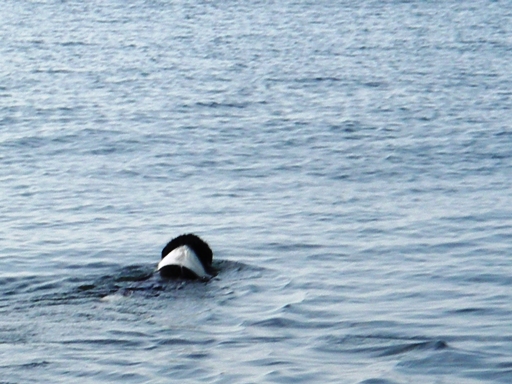 f0034602_2021974.jpg