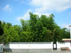 d0104705_21192140.jpg
