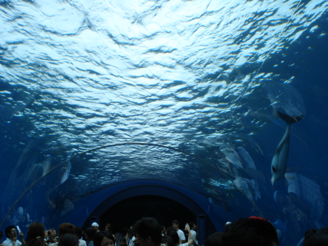 e0015108_9171075.jpg