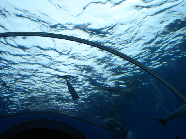 e0015108_9173250.jpg