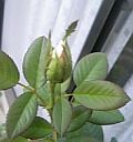 e0098908_22215587.jpg