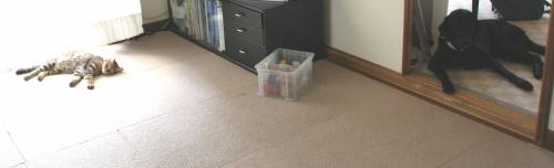e0059512_19285511.jpg