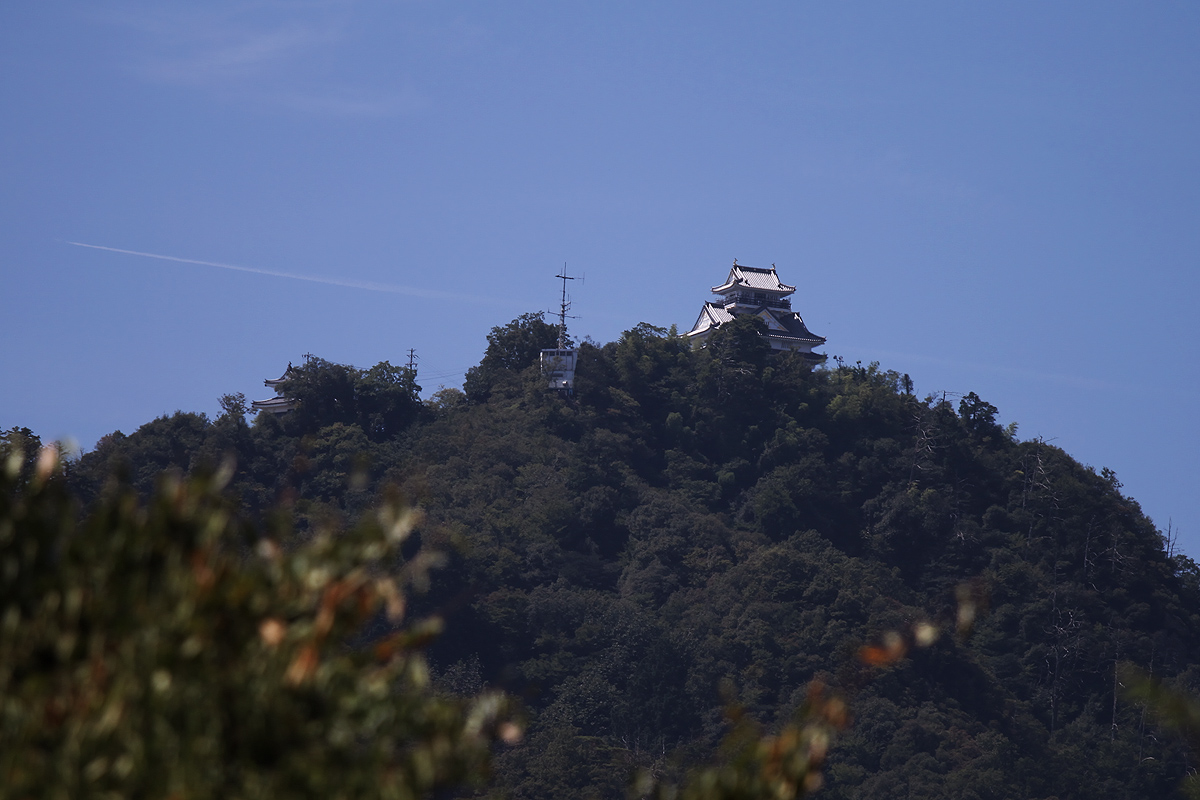 c0115616_728594.jpg