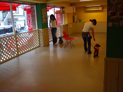 d0023323_21391786.jpg