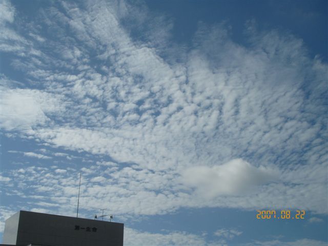 f0127523_195086.jpg