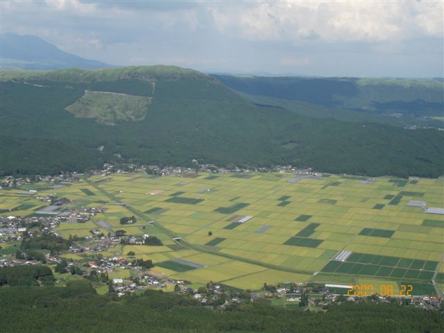 f0127523_1958296.jpg