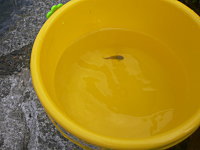 e0009324_22371459.jpg