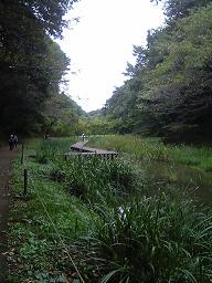 f0022024_17225348.jpg