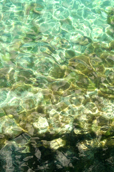 c0079626_1629226.jpg