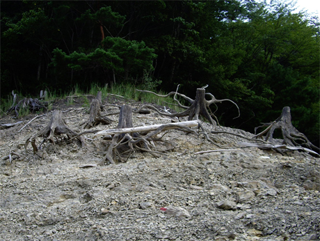 f0128527_17225638.jpg