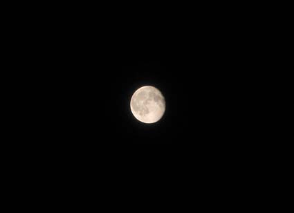 d0109728_22425468.jpg