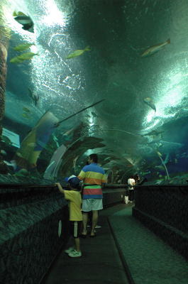 e0064128_21142496.jpg