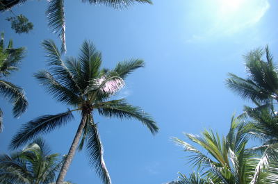 e0064128_2118344.jpg