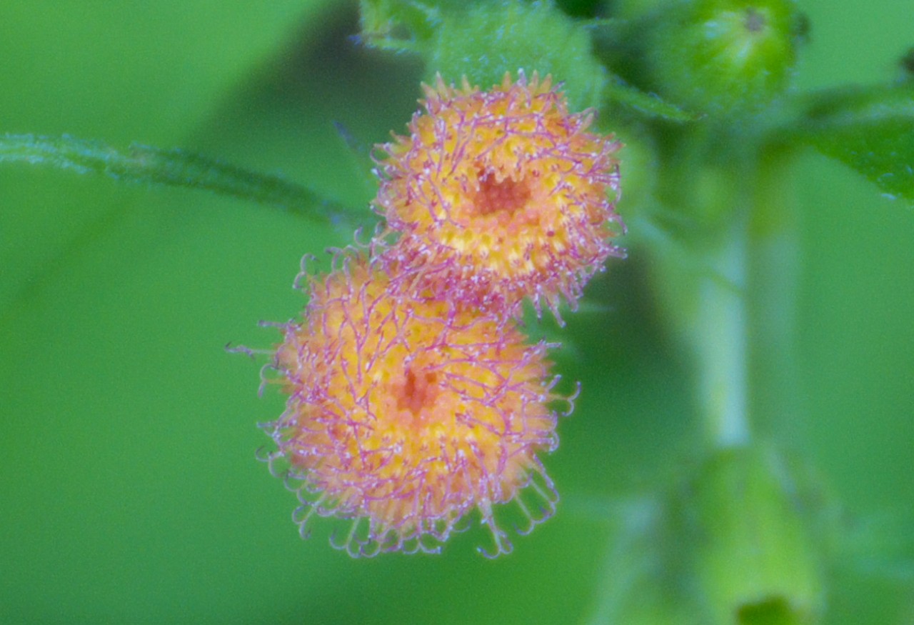 d0053930_1881347.jpg