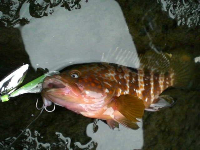 f0009238_21171856.jpg