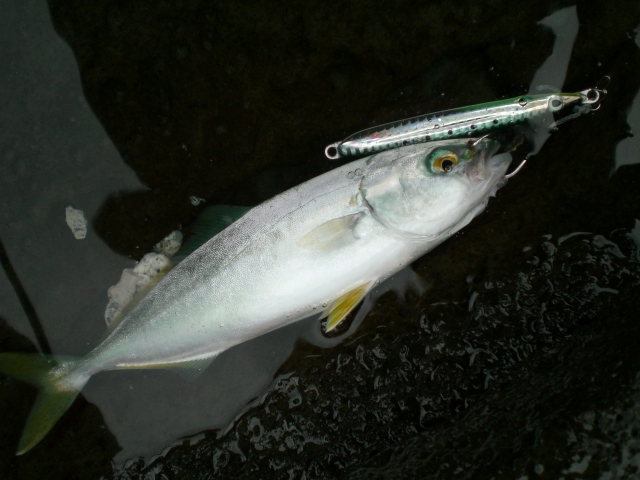 f0009238_21173194.jpg