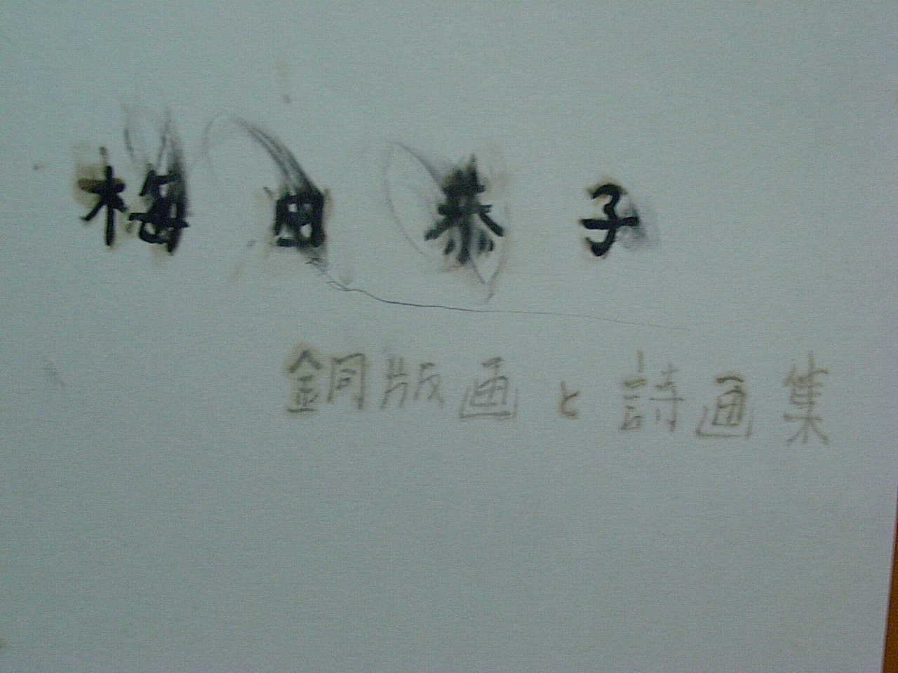 f0040342_2337477.jpg