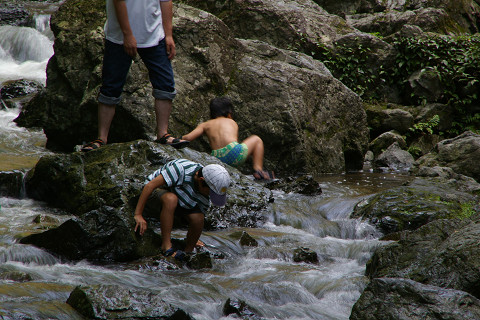 f0094045_10275581.jpg